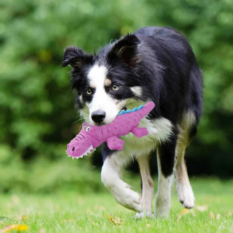 Squeaky crocodile plush for aggressive chewers